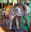 Third Row Indian Elephant